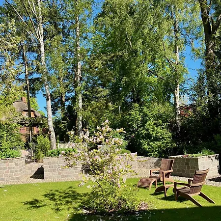 Feriehus Ostsee Waldwiese